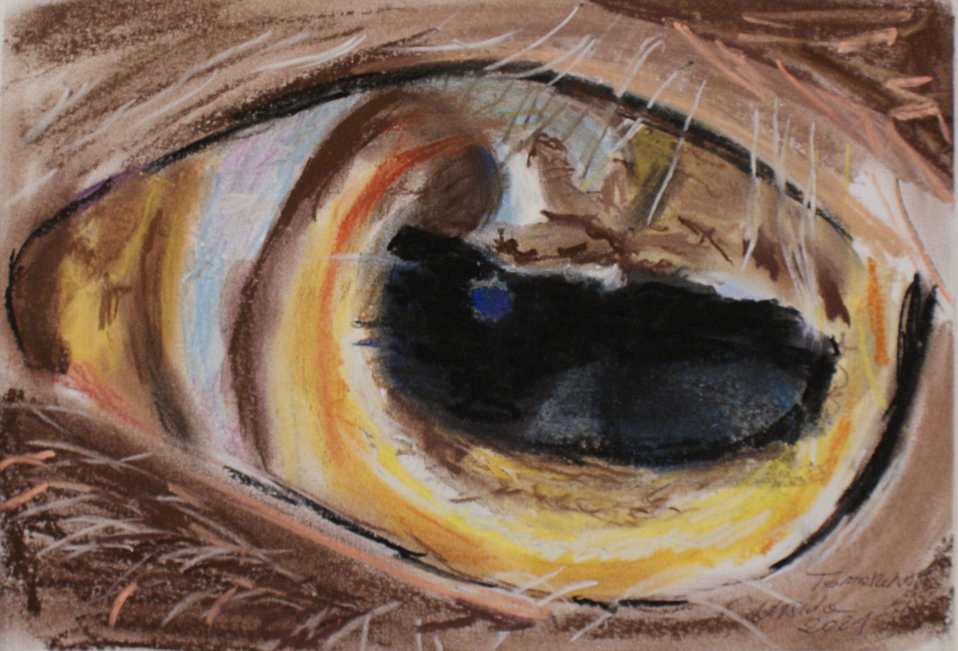 Oko kozy - rysunek sucha pastel Urszula Tomaszewska