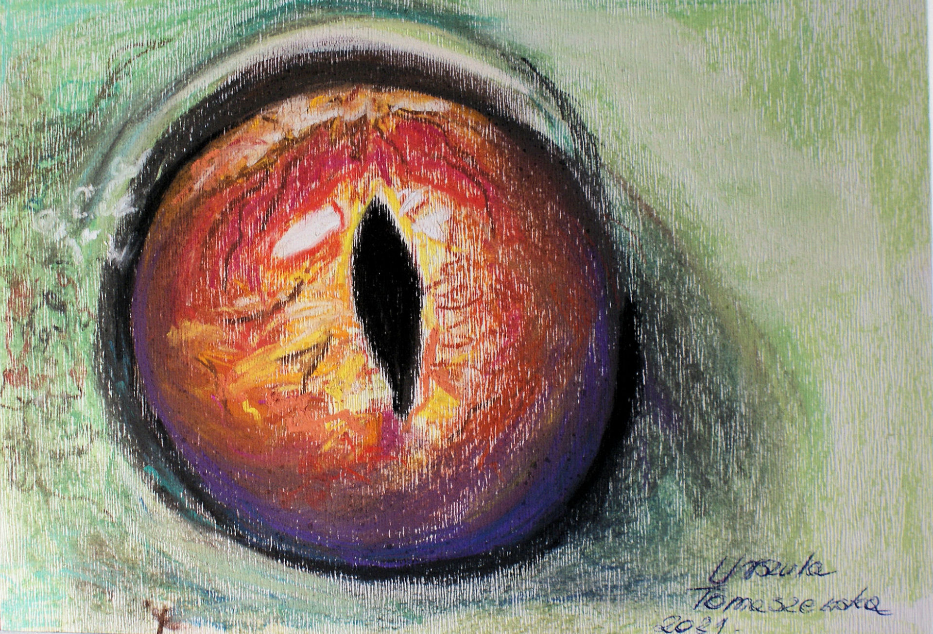 Oko rzekotki nadrzewnej – artystyczny rysunek, Urszula Tomaszewska