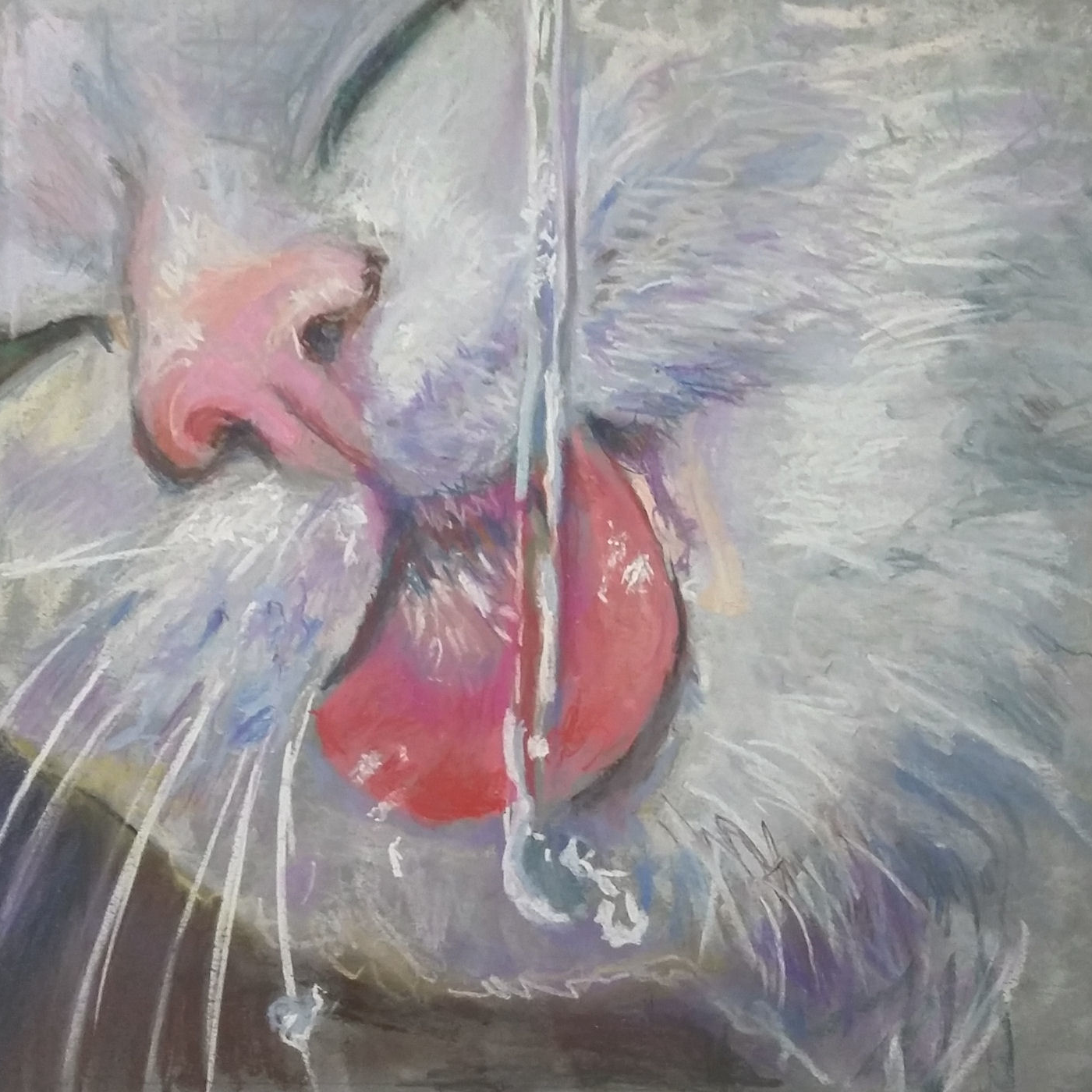 Kot pijący wodę – realistyczny rysunek, technika sucha pastel, Urszula Tomaszewska