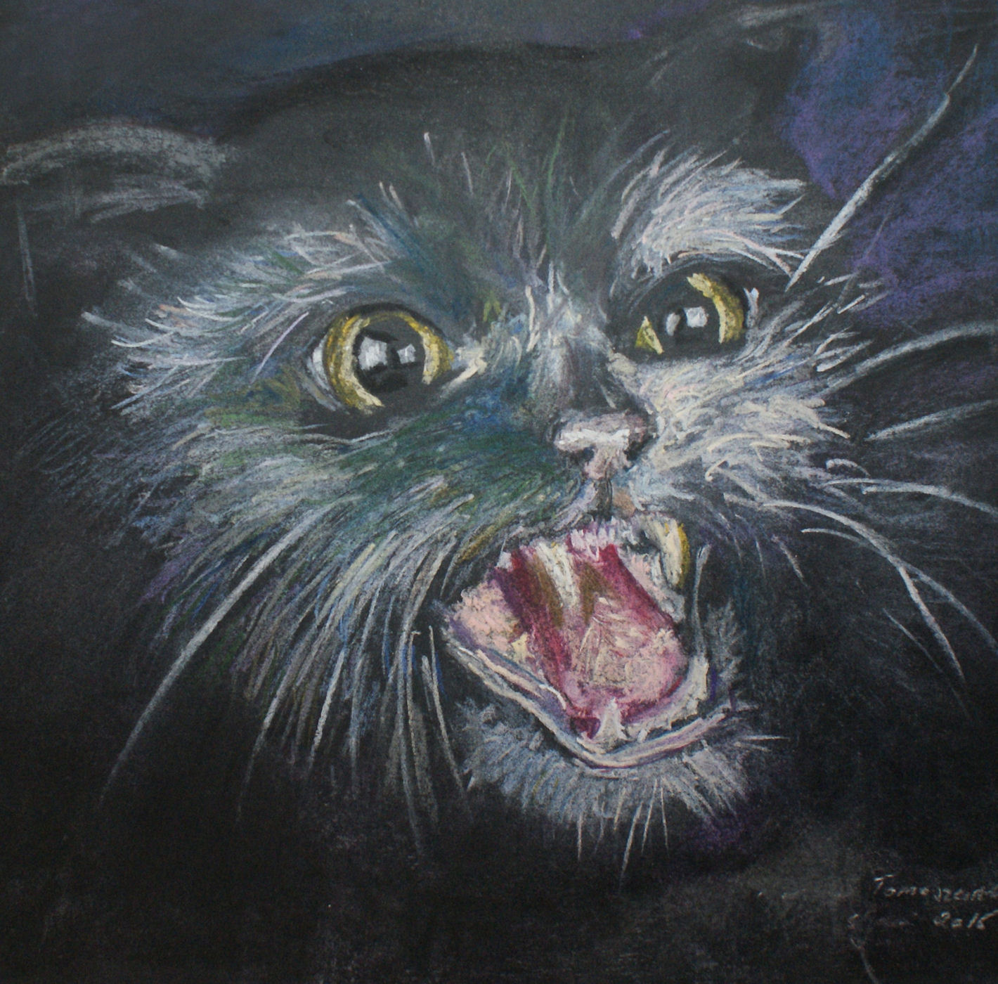 Przerażony czarny kot – emocje zwierząt w sztuce, sucha pastel, Urszula Tomaszewska