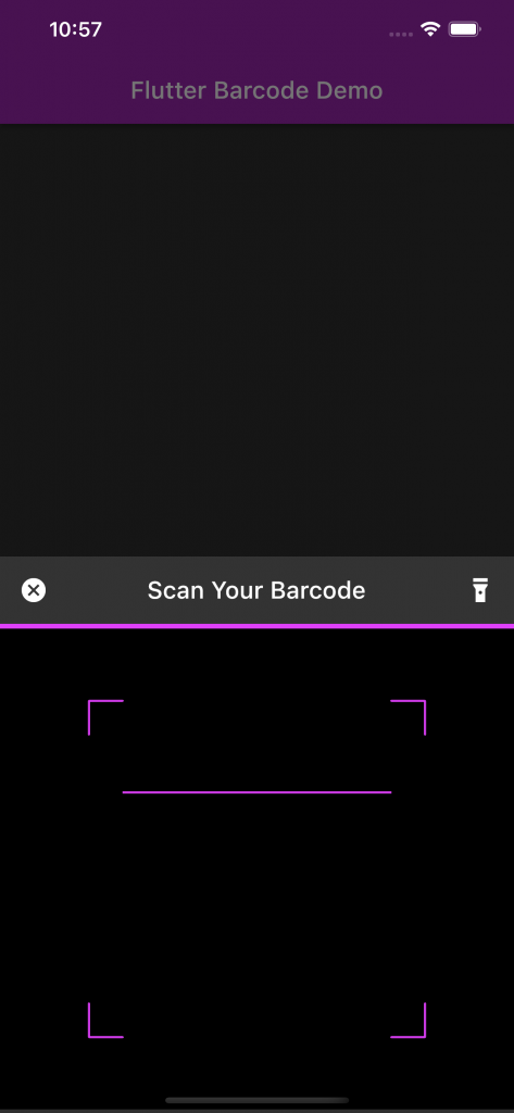 Flutter Barcode Demo Final App  Scanner