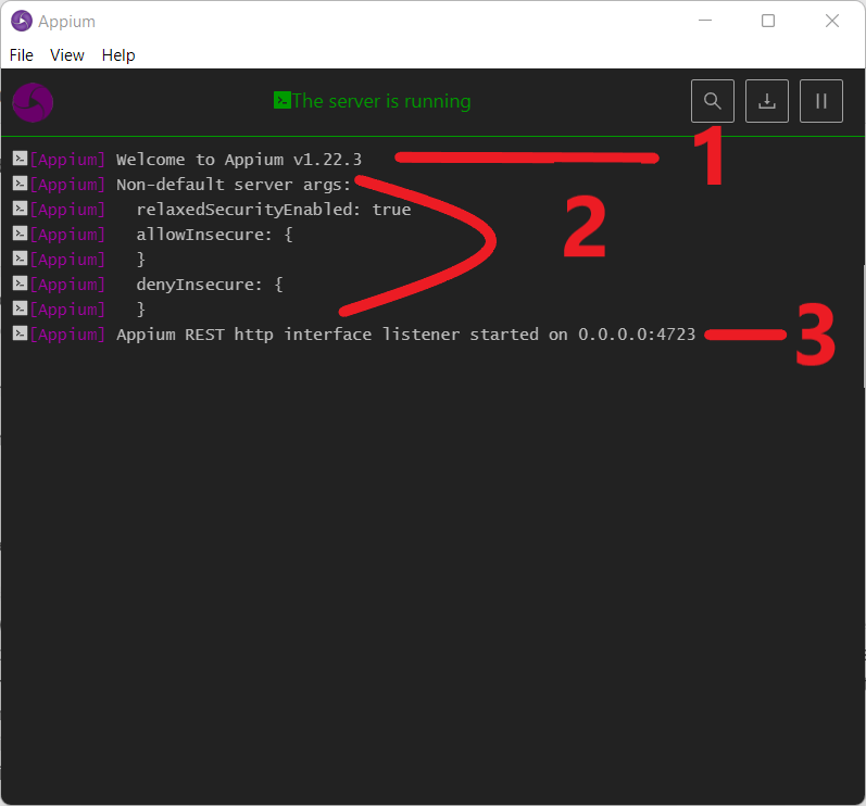  AppiumServer log window while the server is running