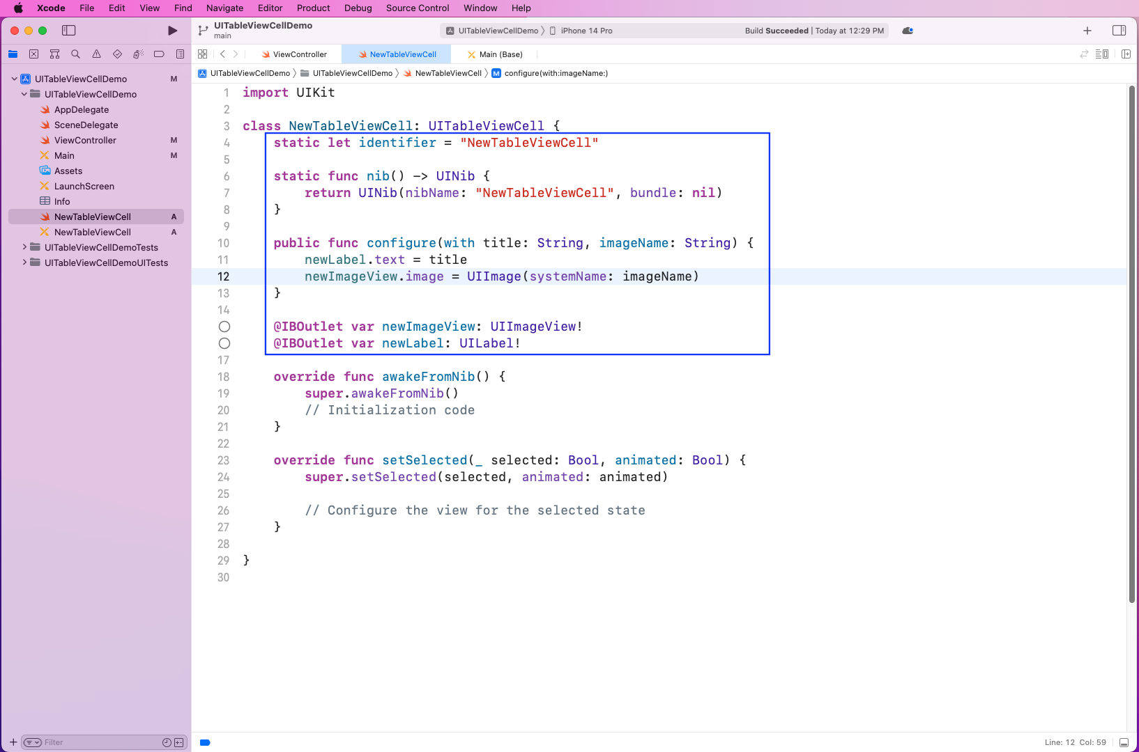 Code and Layout for Custom Cell