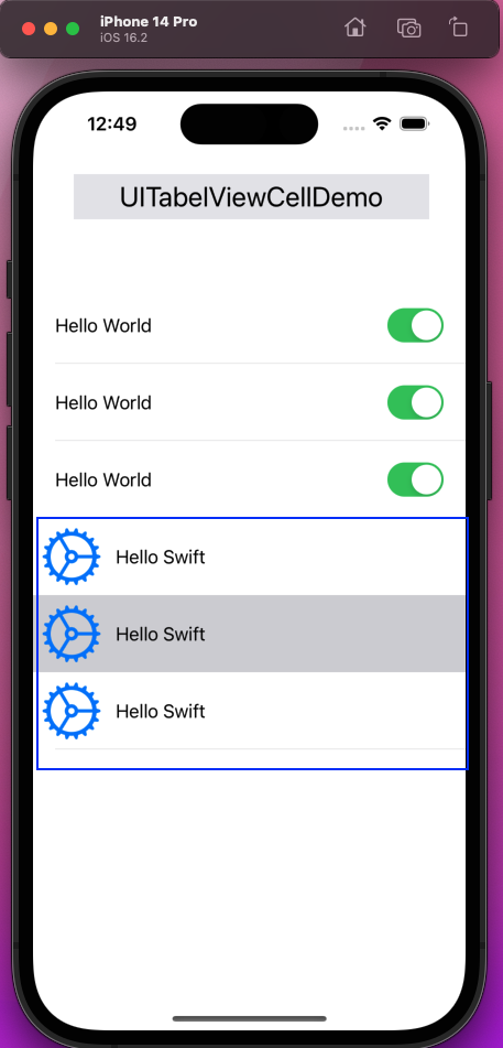 Now, the three new custom rows are showing perfectly in our iPhone simulator.