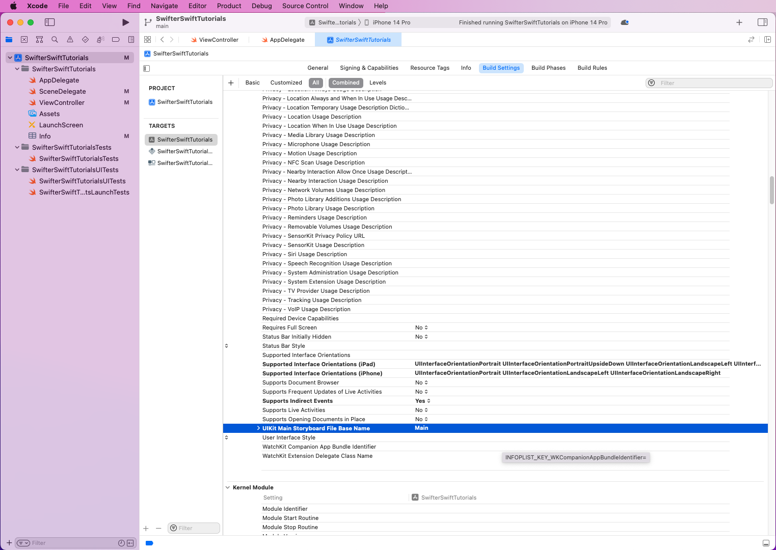 Upon scrolling down, we'll see the UIKit Main Storyboard File Base Name row with Main as value.