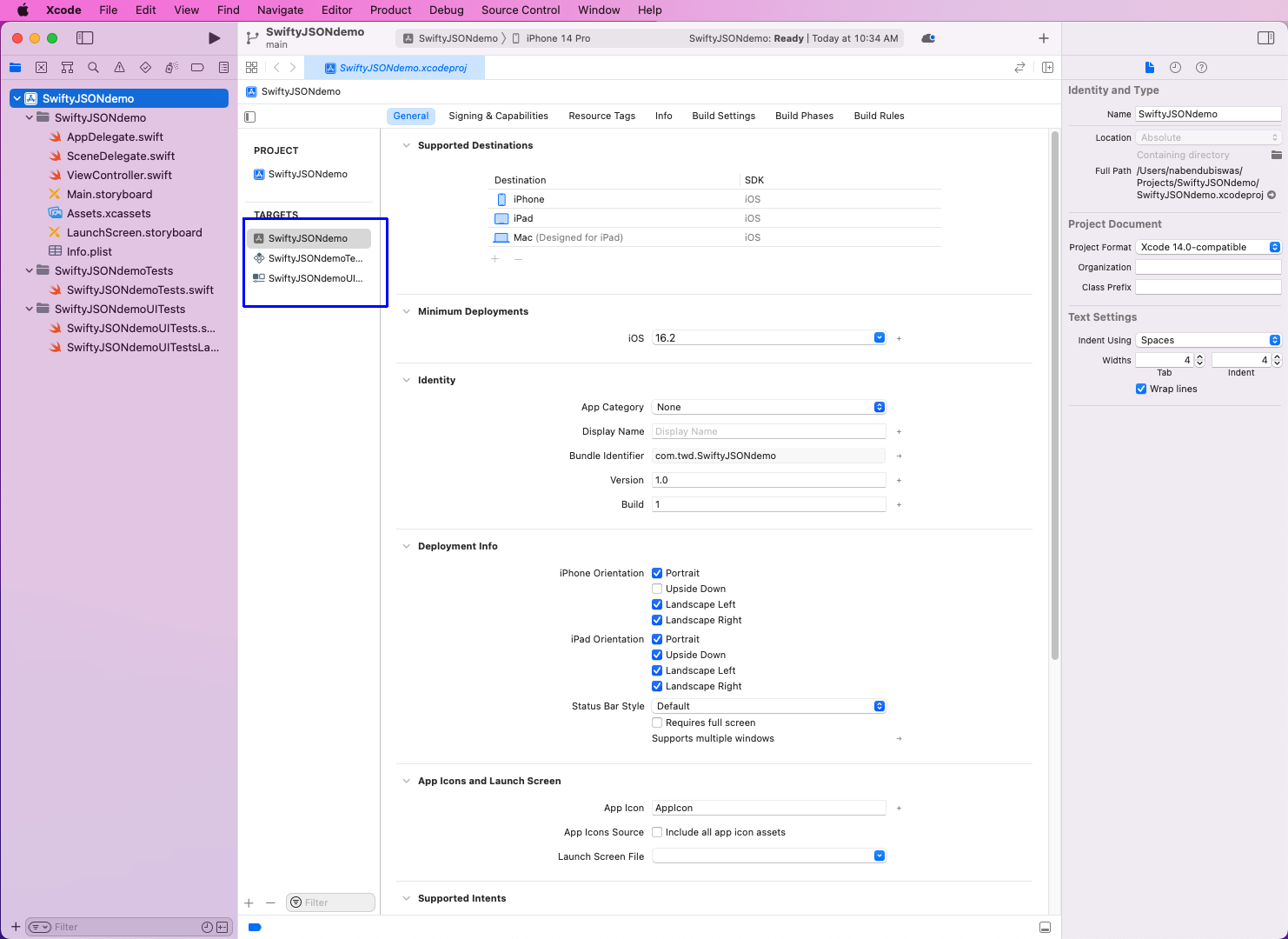 Here, we have two testing targets, because we included tests in this project while creating it.