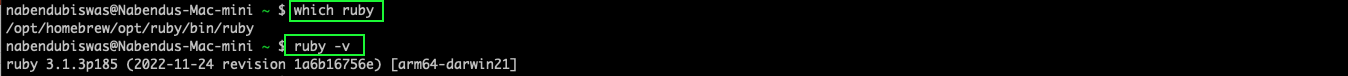 Now, with the which ruby command, we can confirm the new path. And with the ruby -v command, we can confirm the updated version of Ruby.