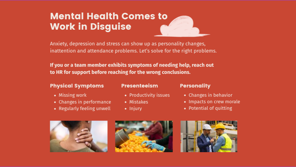 MiSalud Health Raises New Funding Round to Expand Bilingual Healthcare Platform