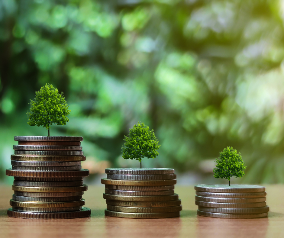 How business loans can support your next stage of growth