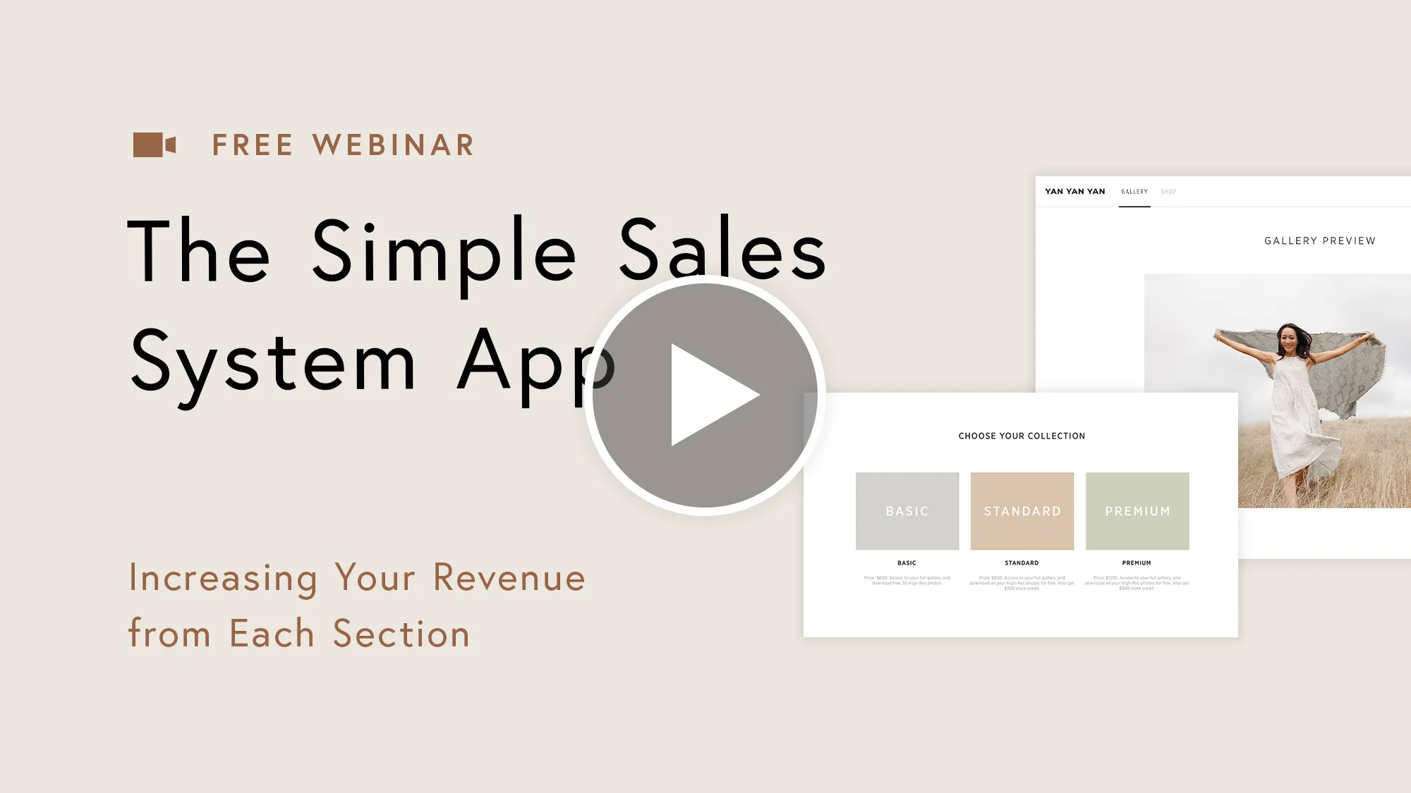 simple sales system app webinar