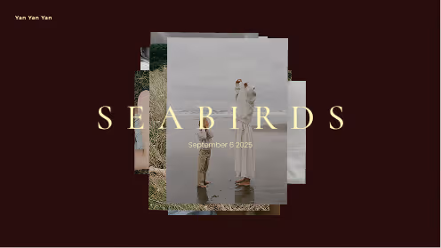 Editorial lifestyle photo gallery cover styled like a Kinfolk magazine, showcased in Pic-Time