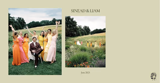 Seabirds travel photography gallery cover example displayed on Pic-Time 2.0