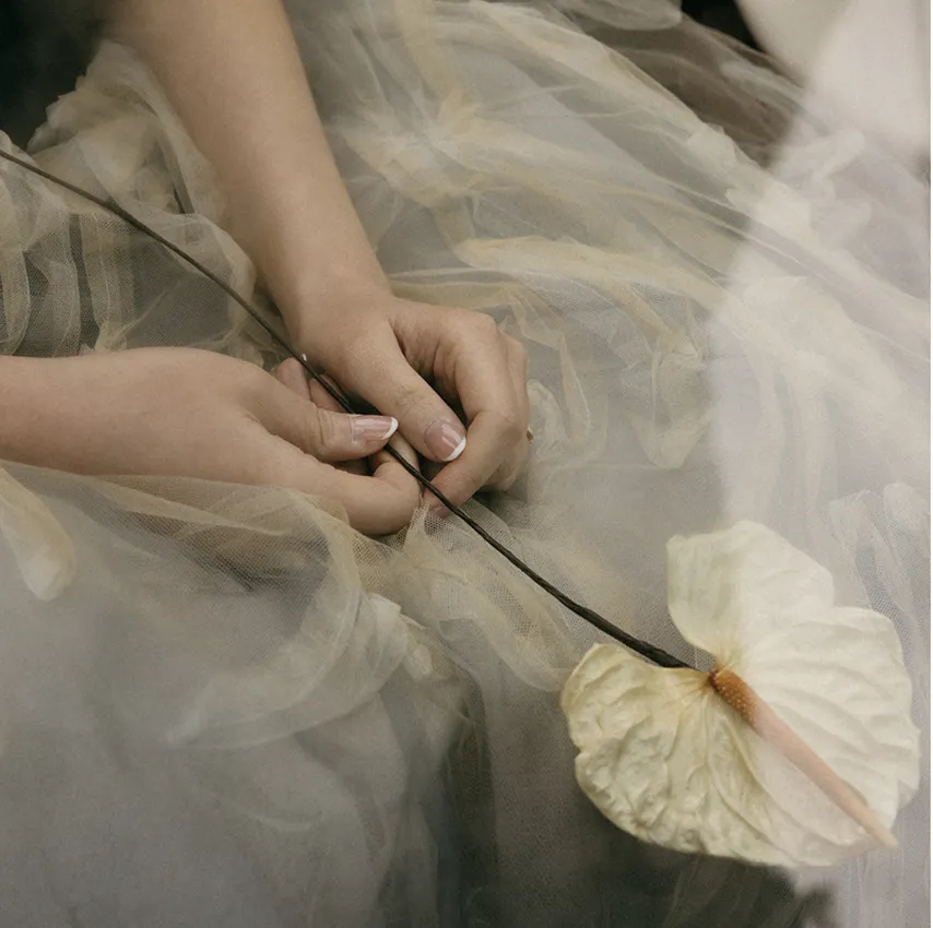 Hands holding a thin dark stem with a pale anthurium flower over layered sheer fabric.