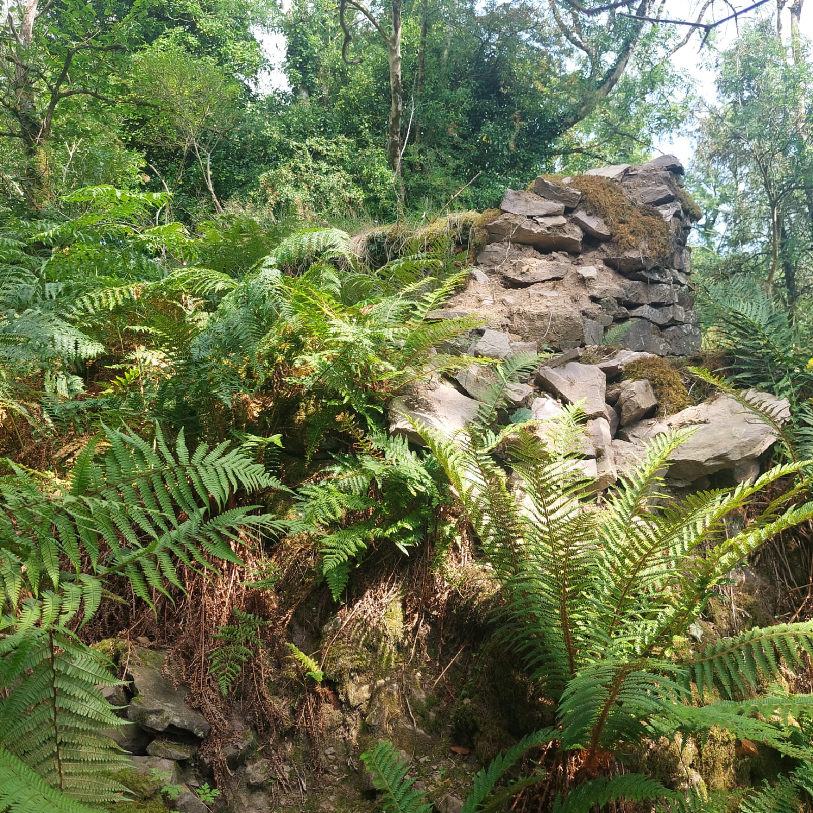Guided Walk to Glenary Famine Village