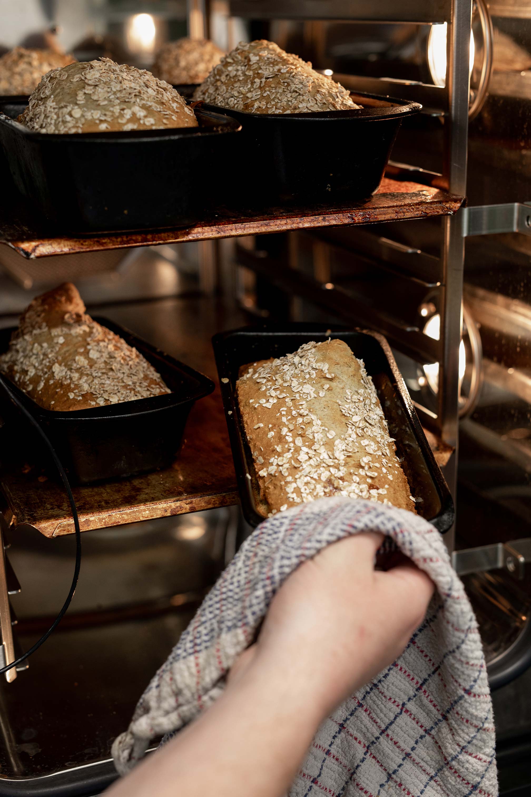 Fresh Loaf of bread coming out of the oven
