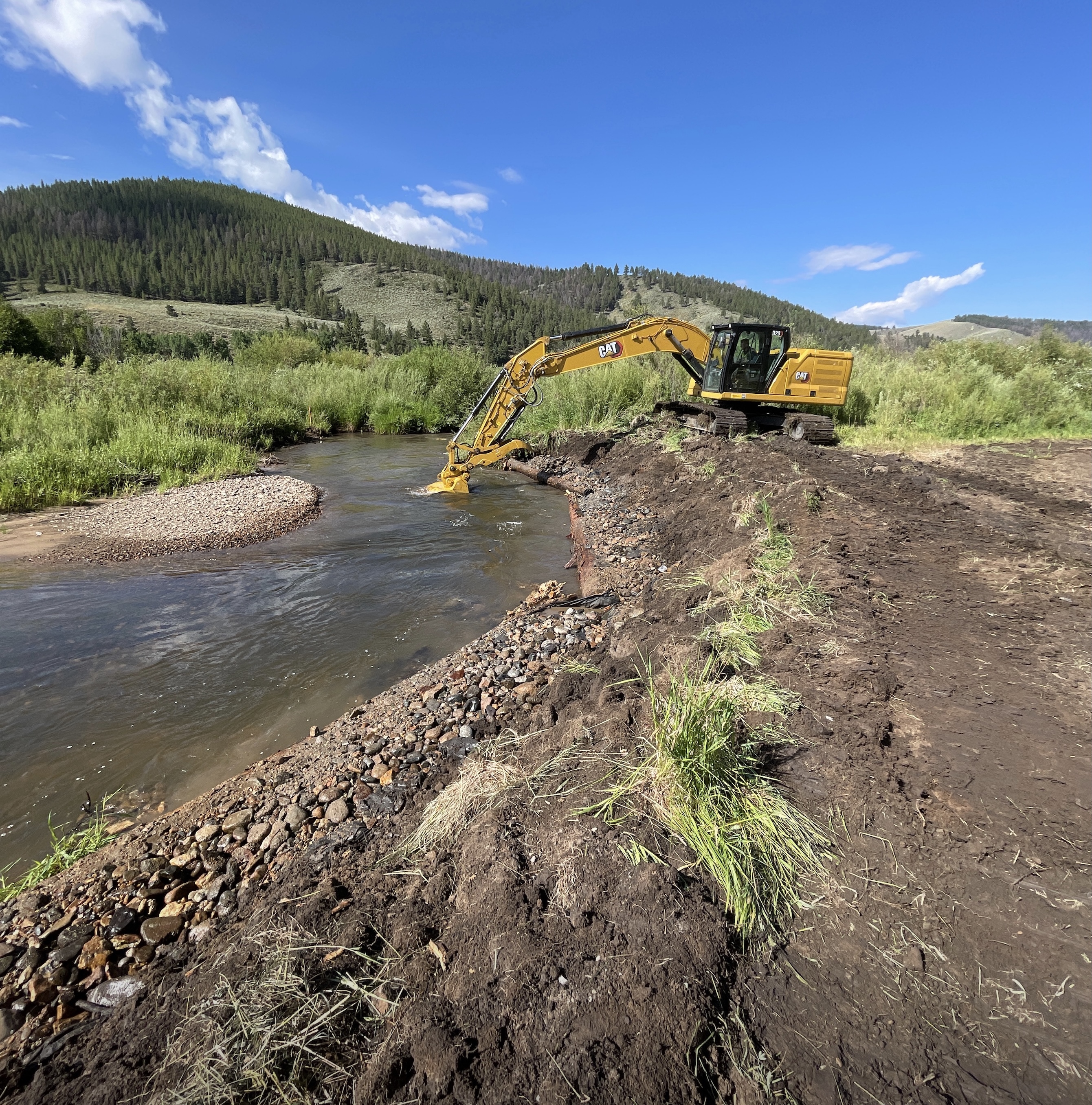 Tomichi Creek Stream Enhancement Project