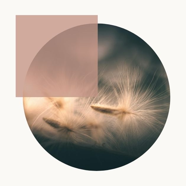 Emotioneel lichaamswerk bij LABS by Reconstructive