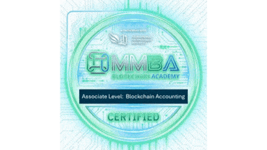 MMBA Associate-Blockchain Accounting