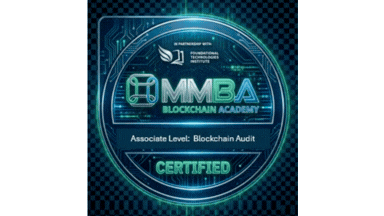 MMBA Associate-Blockchain Audit