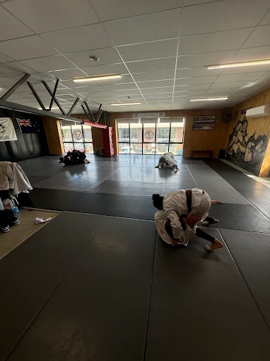 How Often Should Beginners Do BJJ Training Per Week?