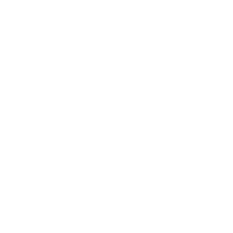 DOVIZIA Logo in weiß