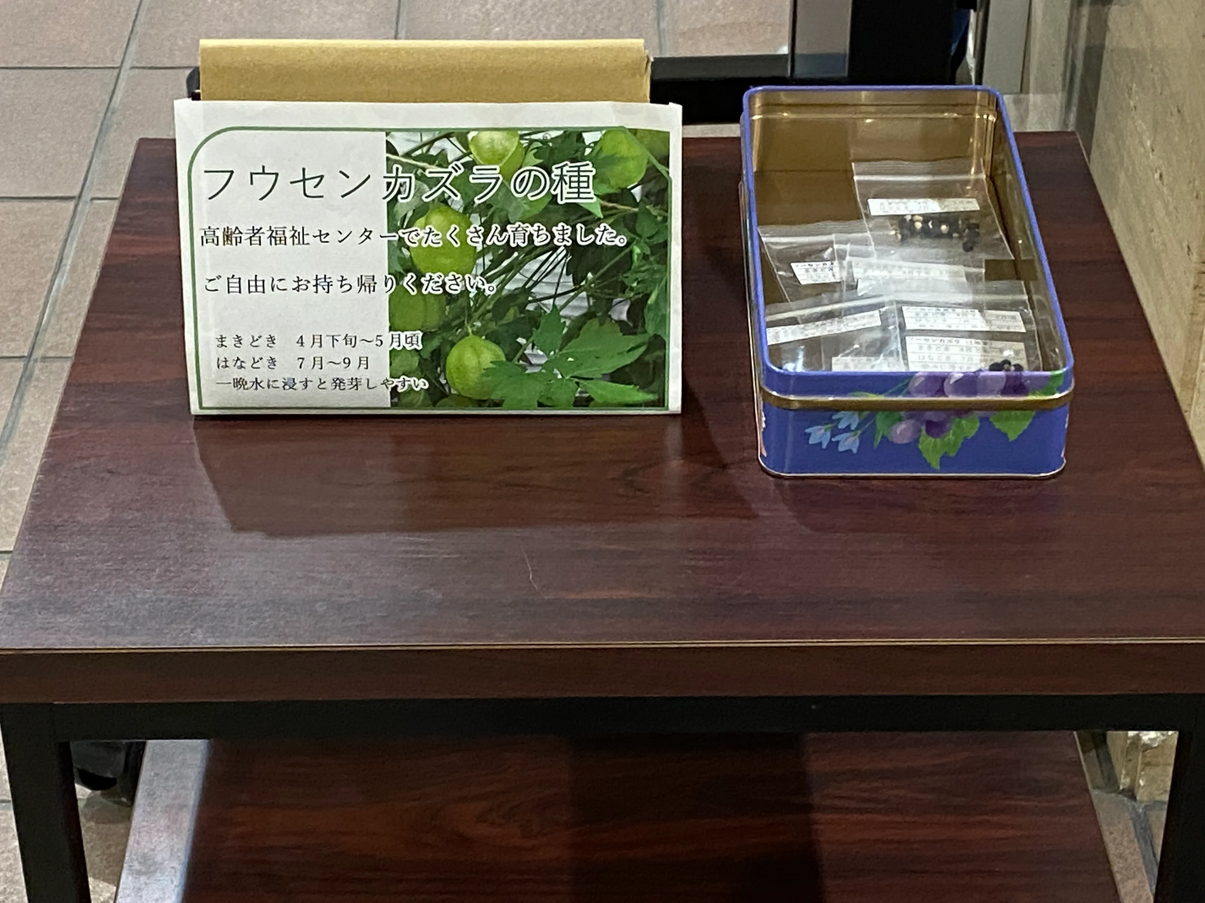 高齢者福祉センターで育った種と「ご自由にお持ち帰りください」の案内表示の写真