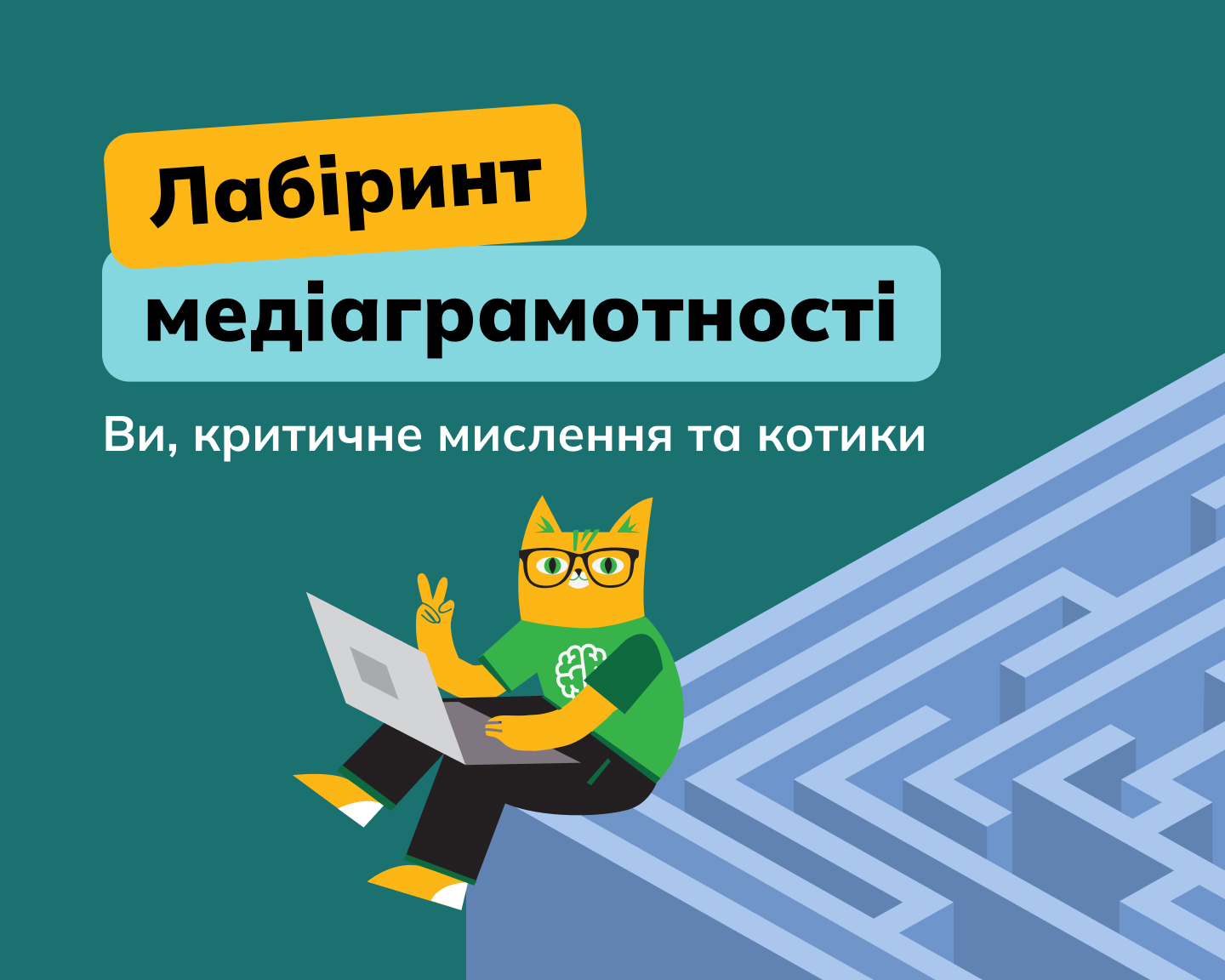 portfolio case image 