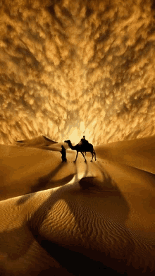 Desert GIFs | Tenor
