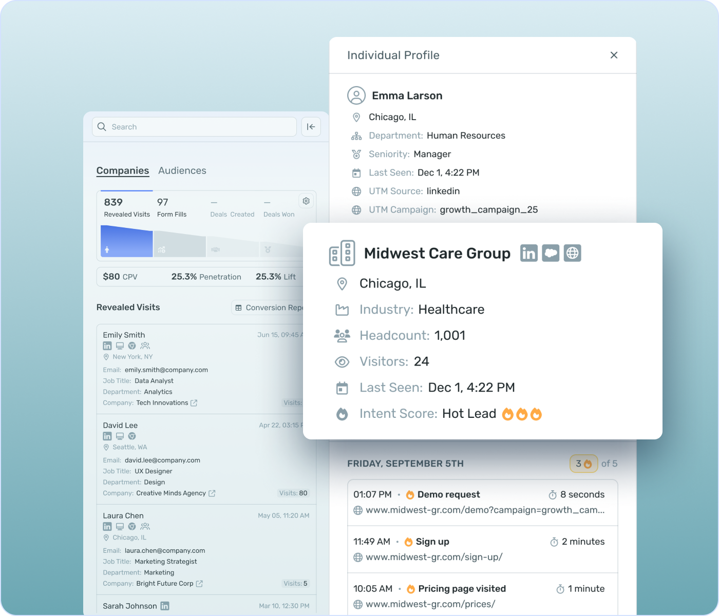 Website reveal reporting showing anonymous visitor insights