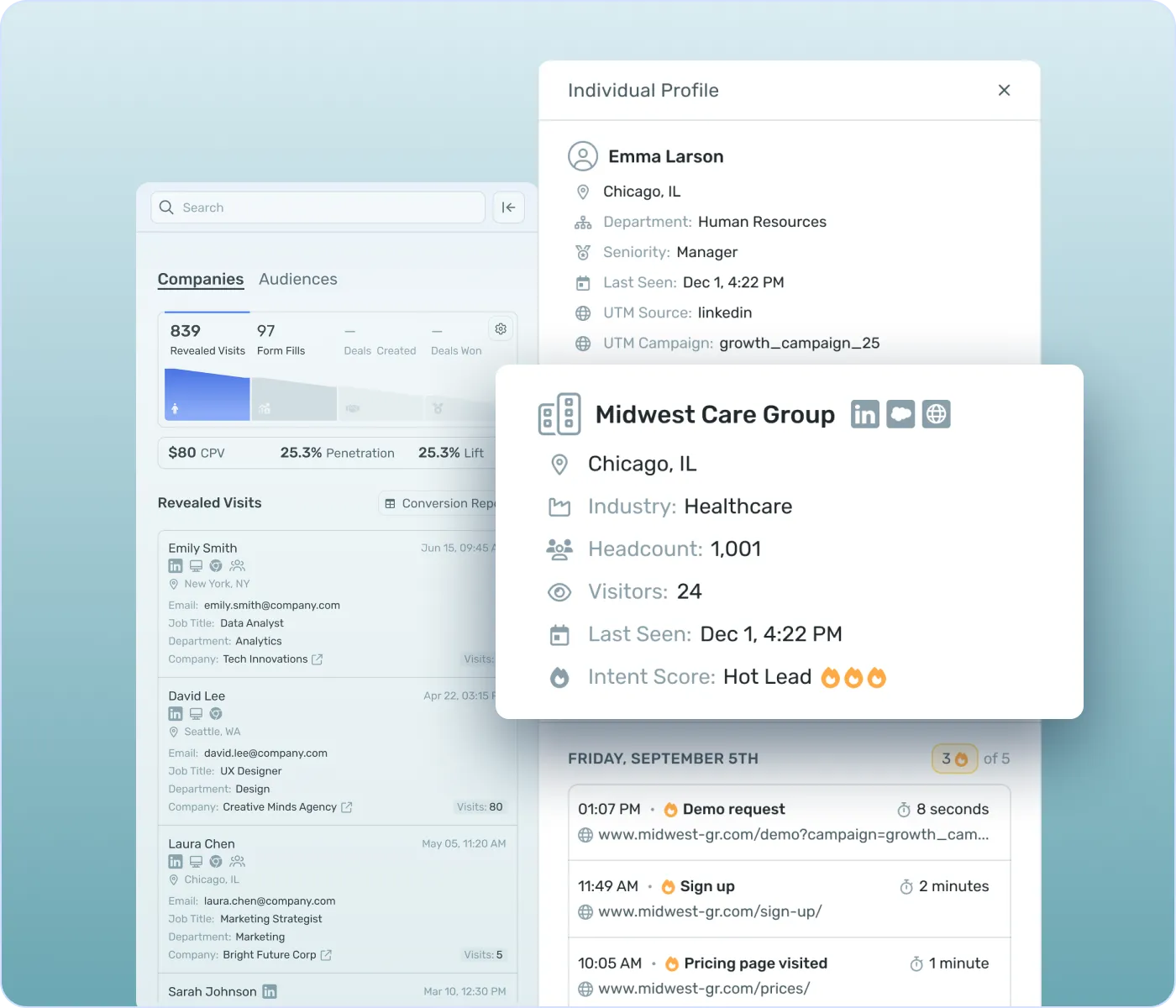 Website reveal reporting showing anonymous visitor insights