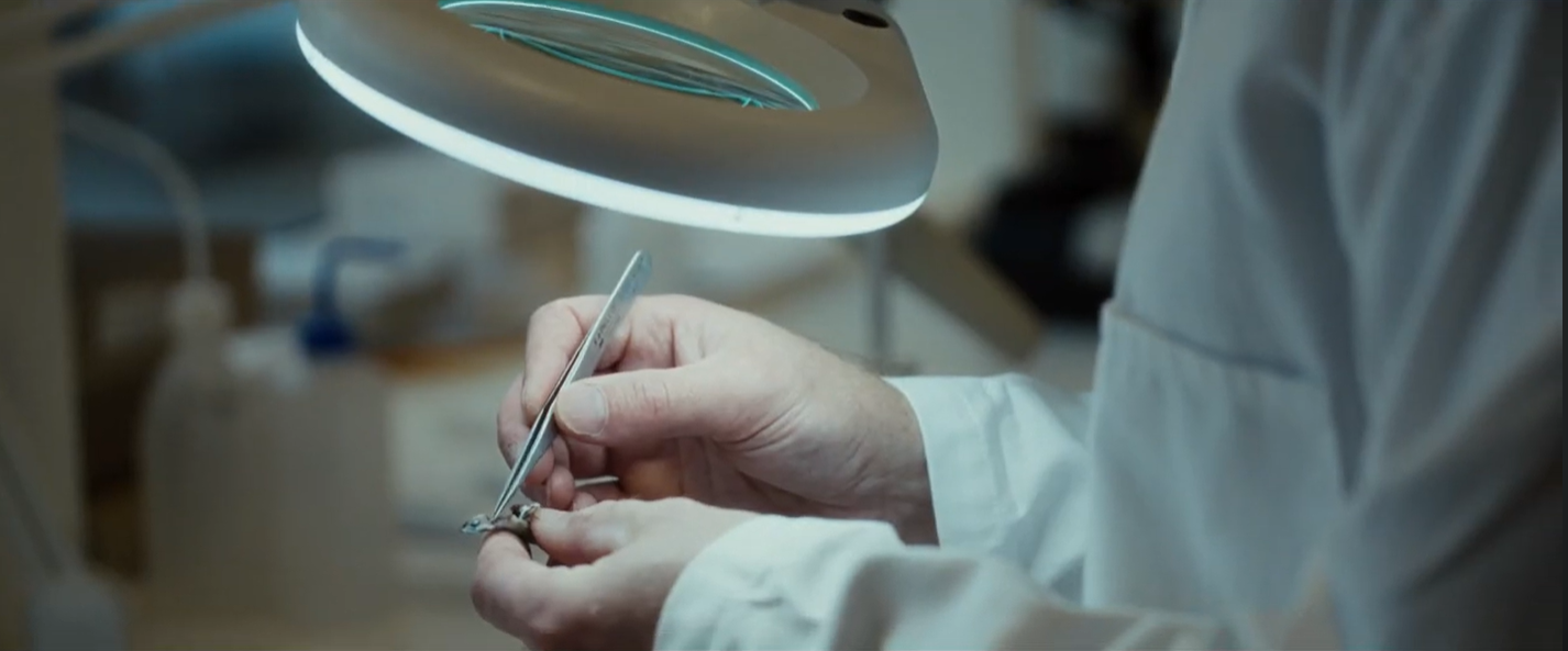 Kven vi er – eit knutepunkt for kyst- og miljøforsking