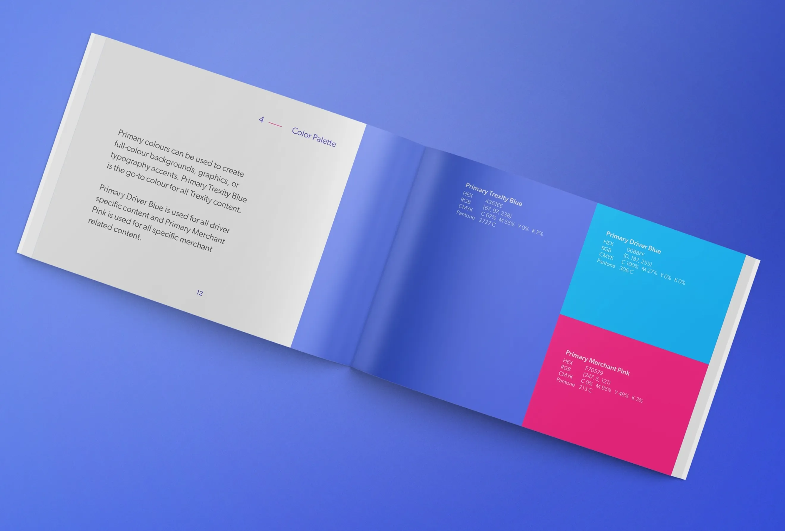 Trexity brand guidelines booklet showing accessibility-focused color systems with blue and pink palette swatches on an open page.