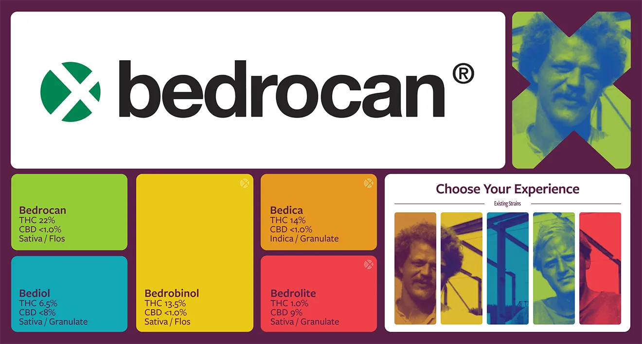 Bedrocan brand architecture concept showing strain color systems, THC/CBD details, and founder portraits by Hovski Studio.