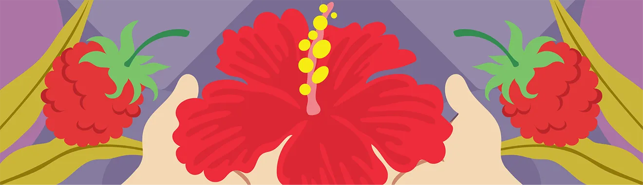 Artizen Raspberry Hibiscus Iced Tea packaging illustration by Hovski Studio featuring hibiscus flower, raspberries, and custom vector artwork.