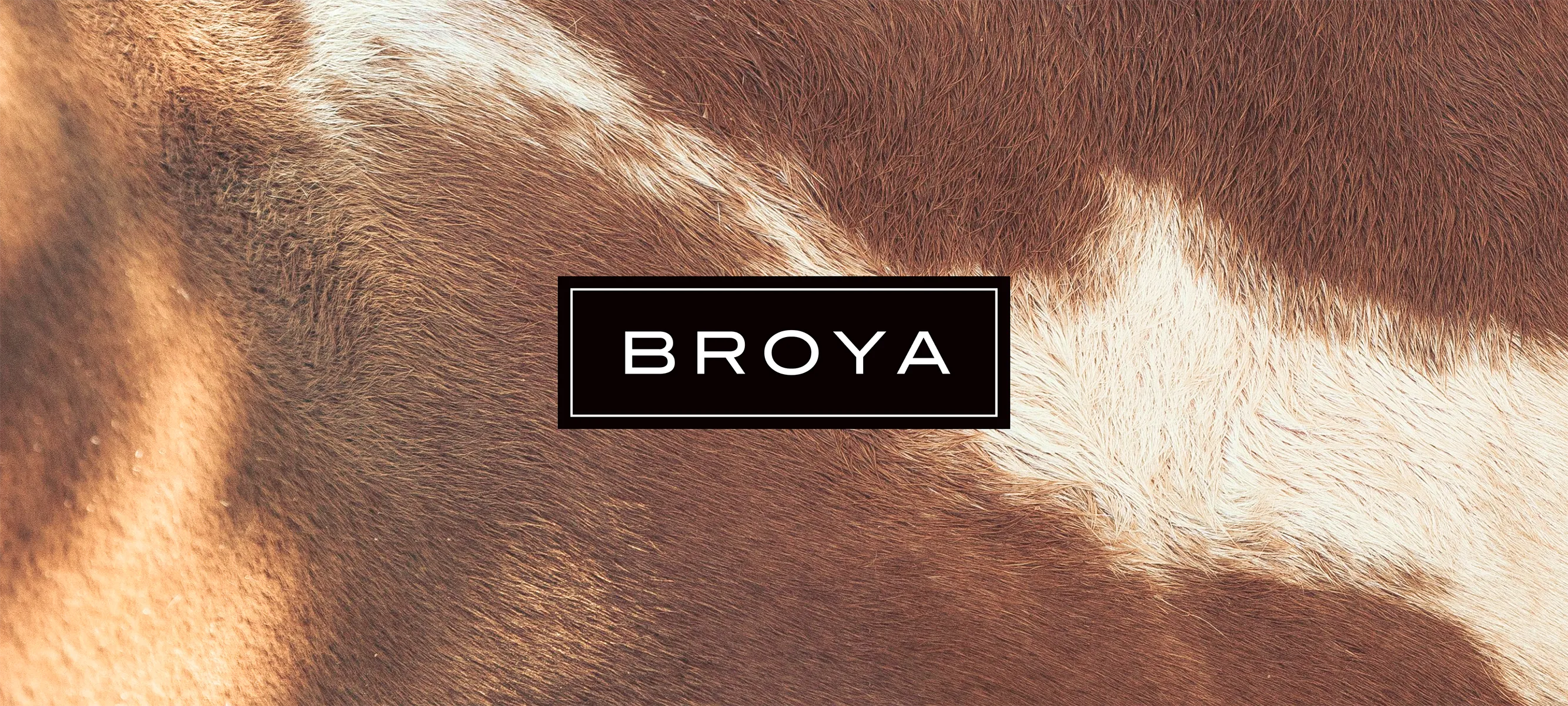 The minimalist Broya brand logo, featuring crisp white sans-serif typography enclosed in a clean double-bordered rectangular black badge. The logo asset is superimposed over a macro textured background of brown and white cow fur to visually ground the bone broth product origin.