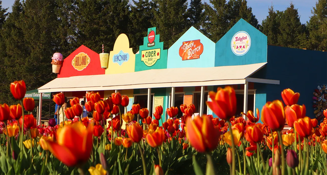 Event food kiosks and custom storefront signage in tulip field designed by Hovski Studio.