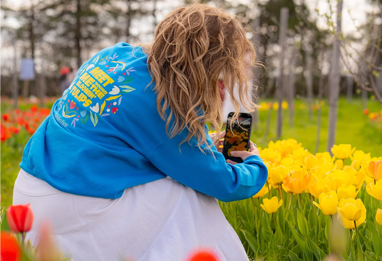 Back view of custom blue Tulipfest floral sweatshirt designed by Hovski Studio.