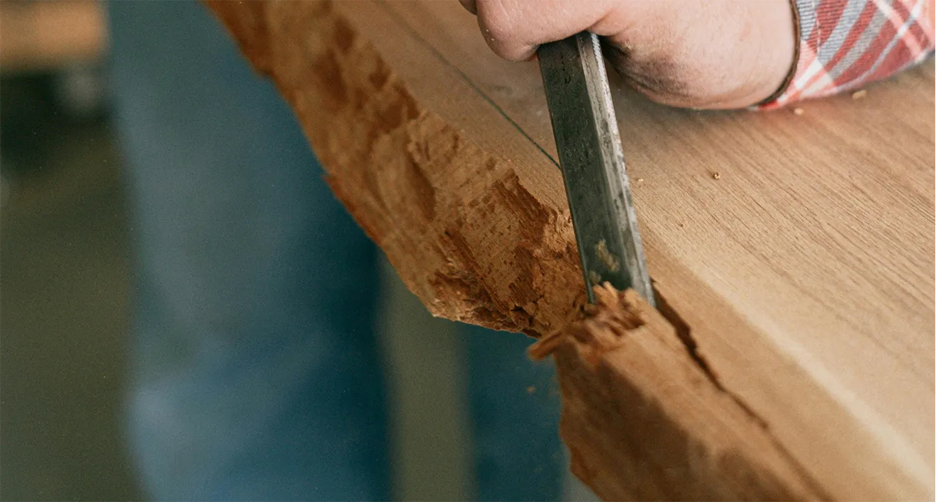 Craftsman using steel hand chisel on thick raw wood timber slab.