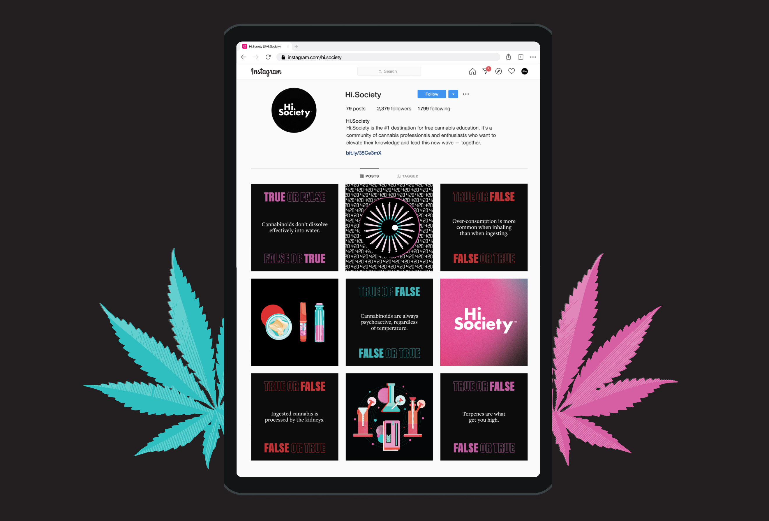 A smartphone displaying a cannabis leaf and another cannabis leaf. This image showcases Hi.Society brand assets on an Instagram 9-grid mockup using an Apple iPad.