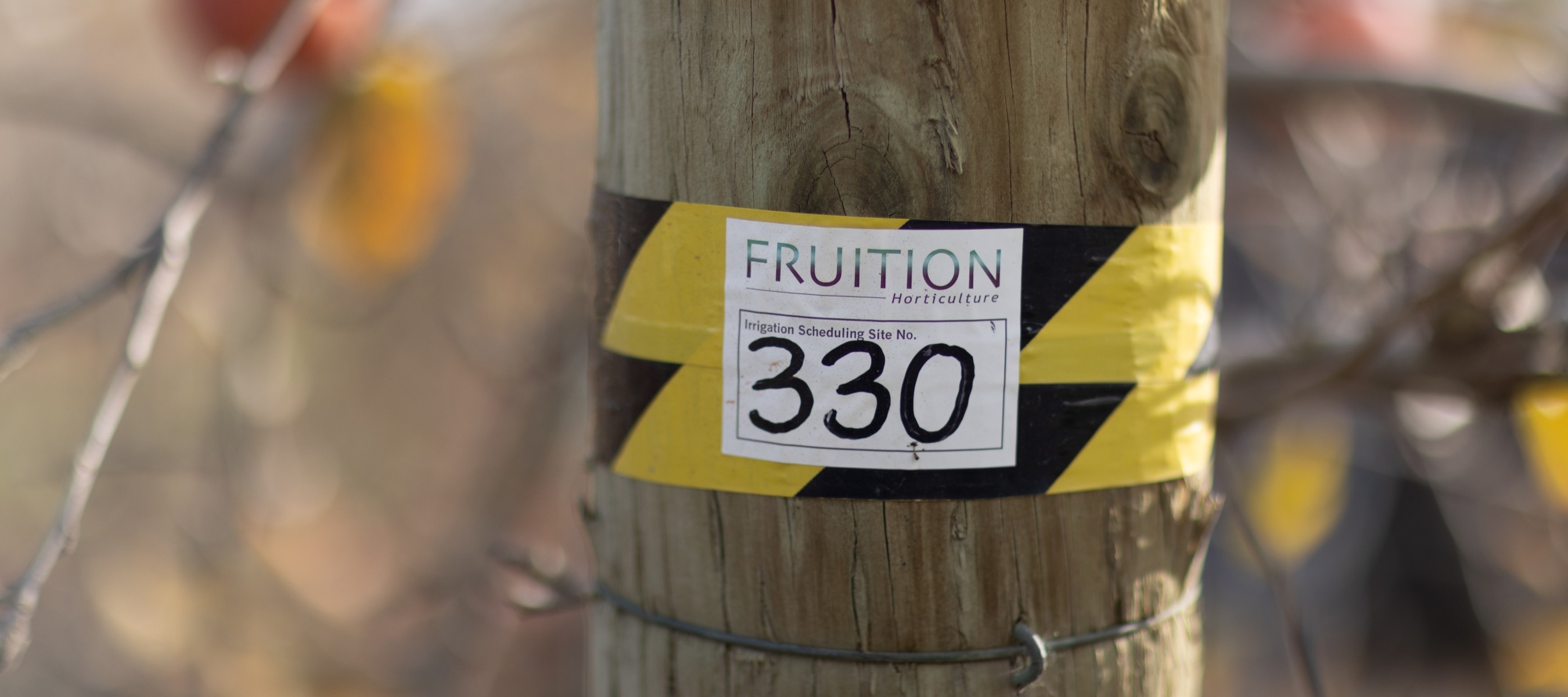 Fruition soil moisture monitoring site on a Hawke's Bay apple orchard. 