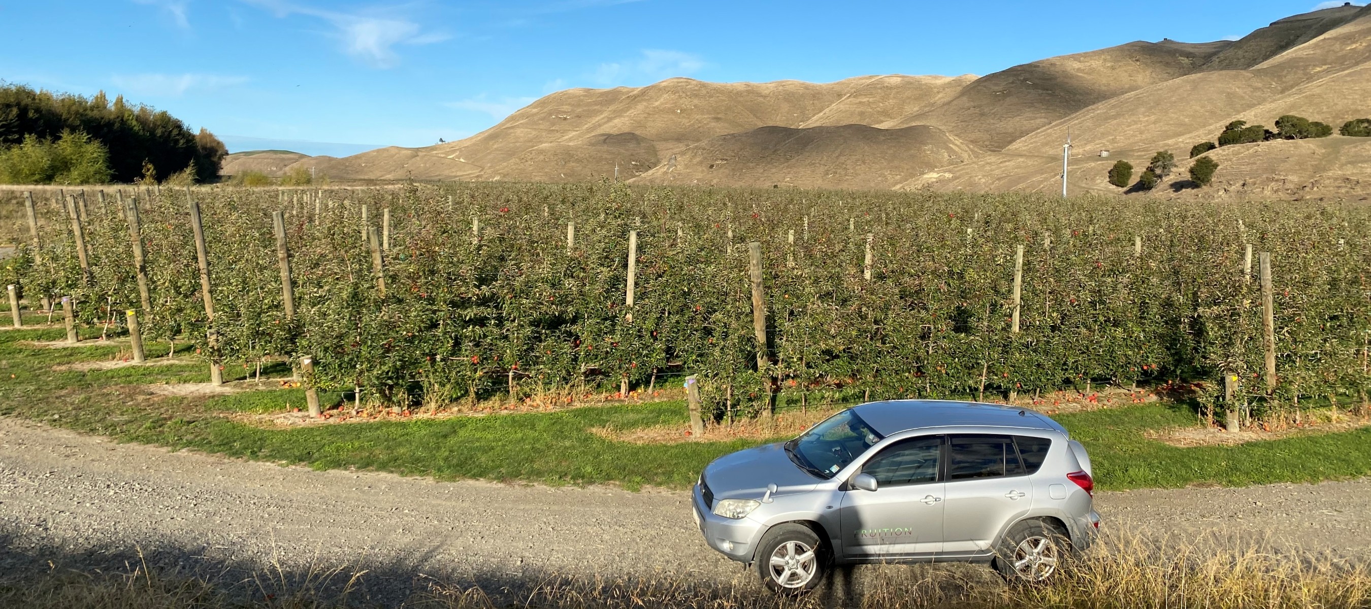 Fruition trap monitor vehicle on an Hawke's Bay apple orchard.