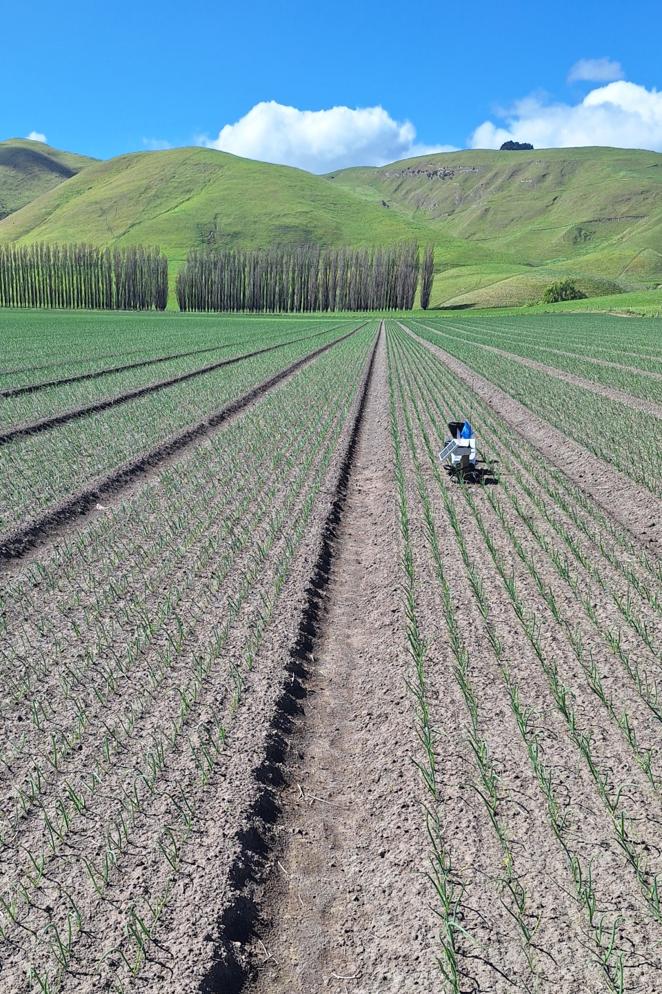 Sentek Multi probe with rain gauge installed in an onion field in Hawke's Bay.