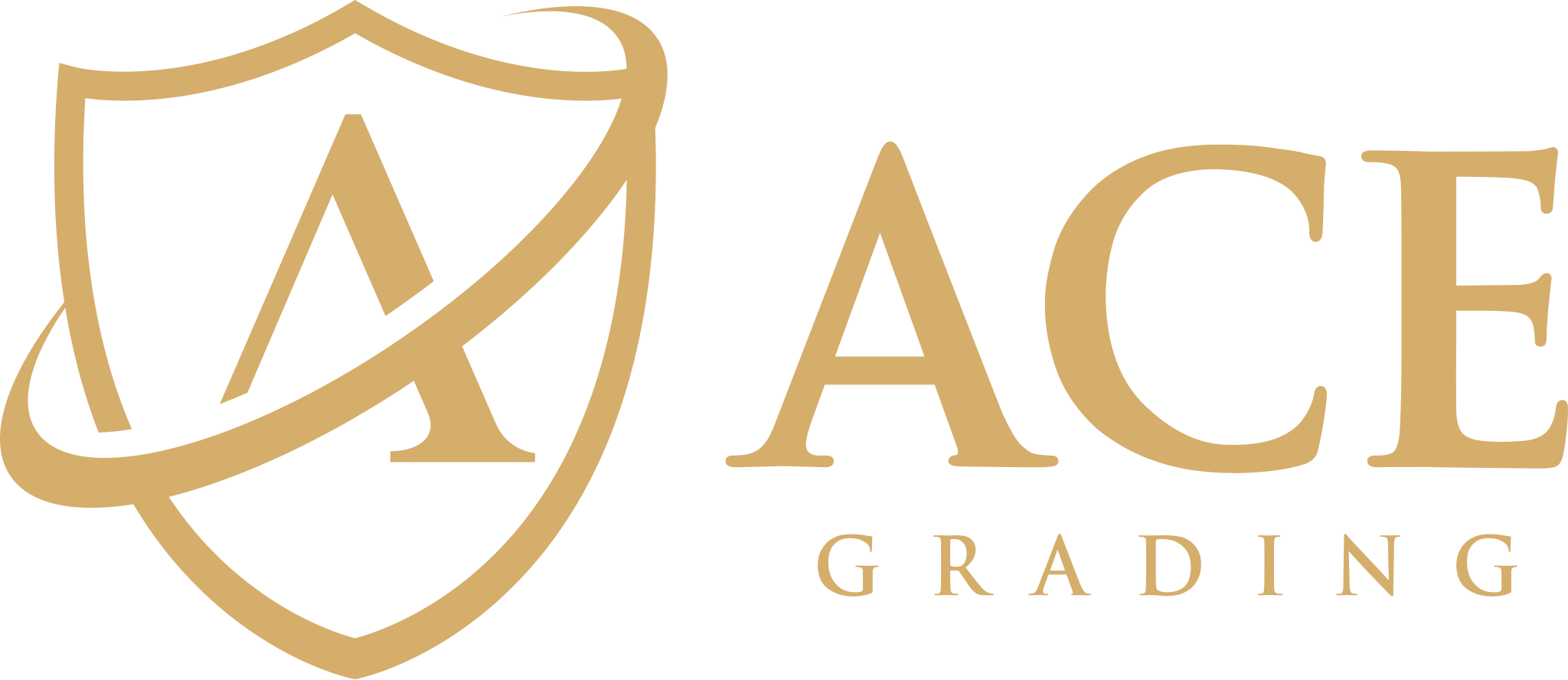 ace grading logo