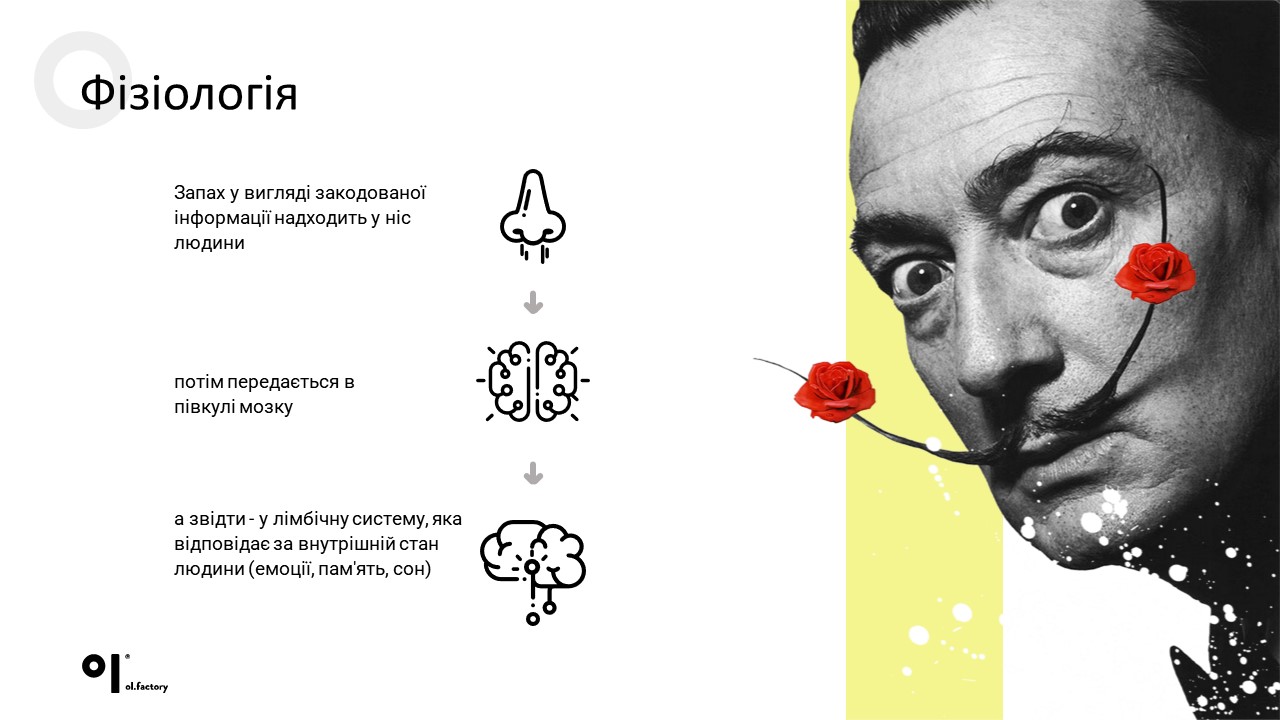 reprezent projects