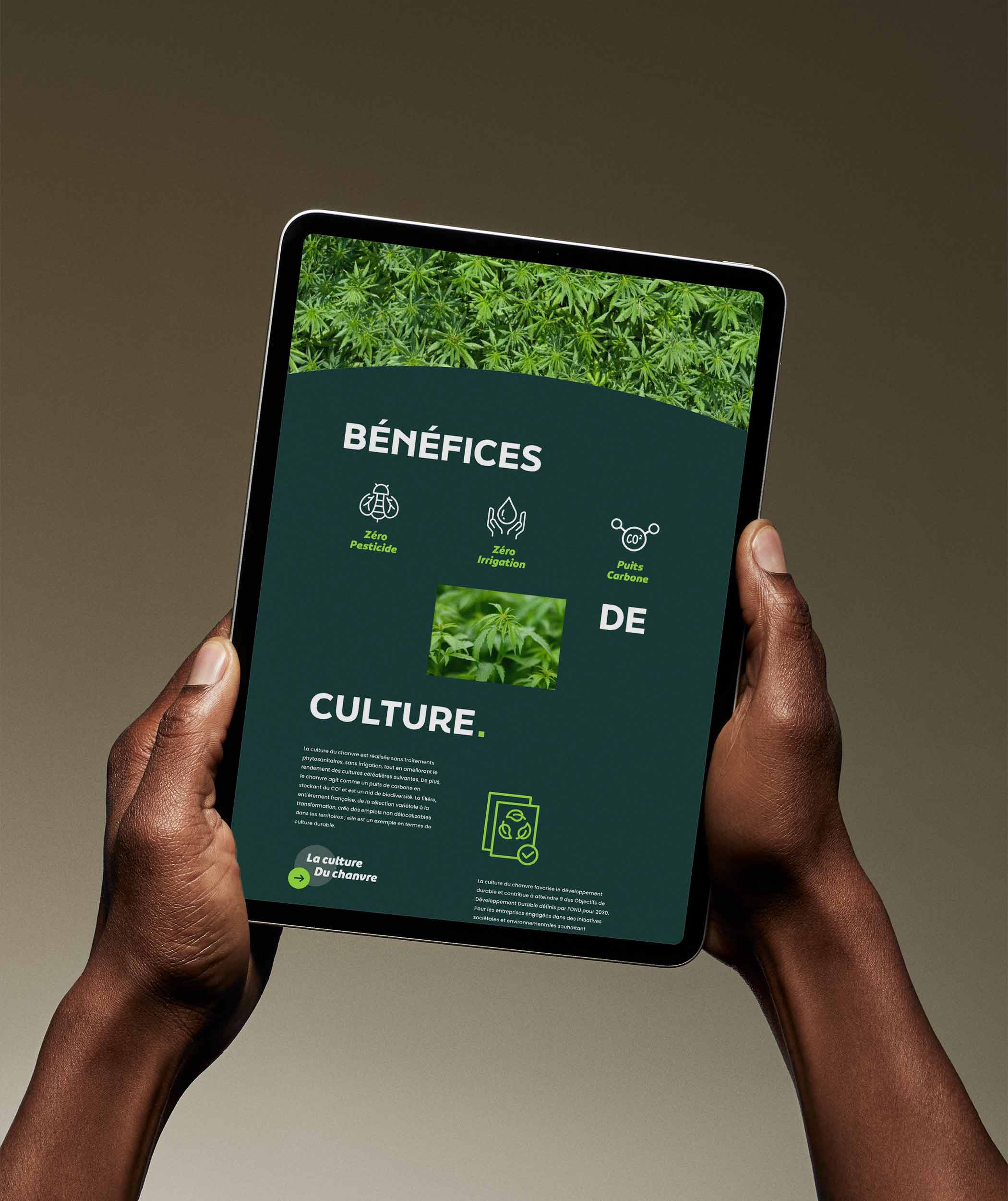 Tablette affichant la page Bénéfices de culture du site InterChanvre