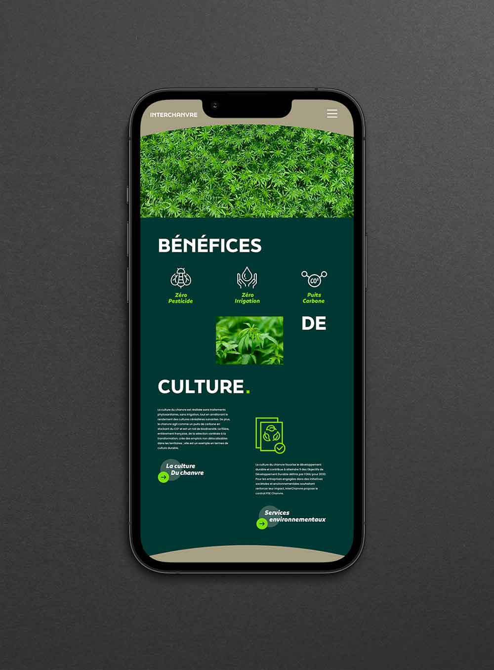 Page Bénéfices de culture du site InterChanvre sur smartphone