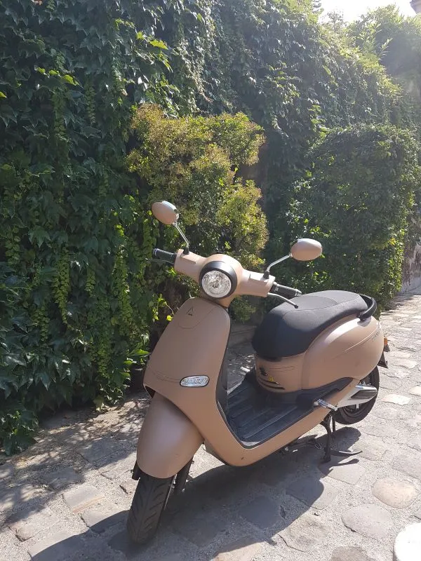Un deux-roue électrique stationné sur un trottoir devant un buisson