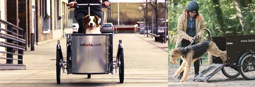 Un chien transporté dans un vélo cargo et une femme qui sort son chien de son vélo cargo en pleine fôret