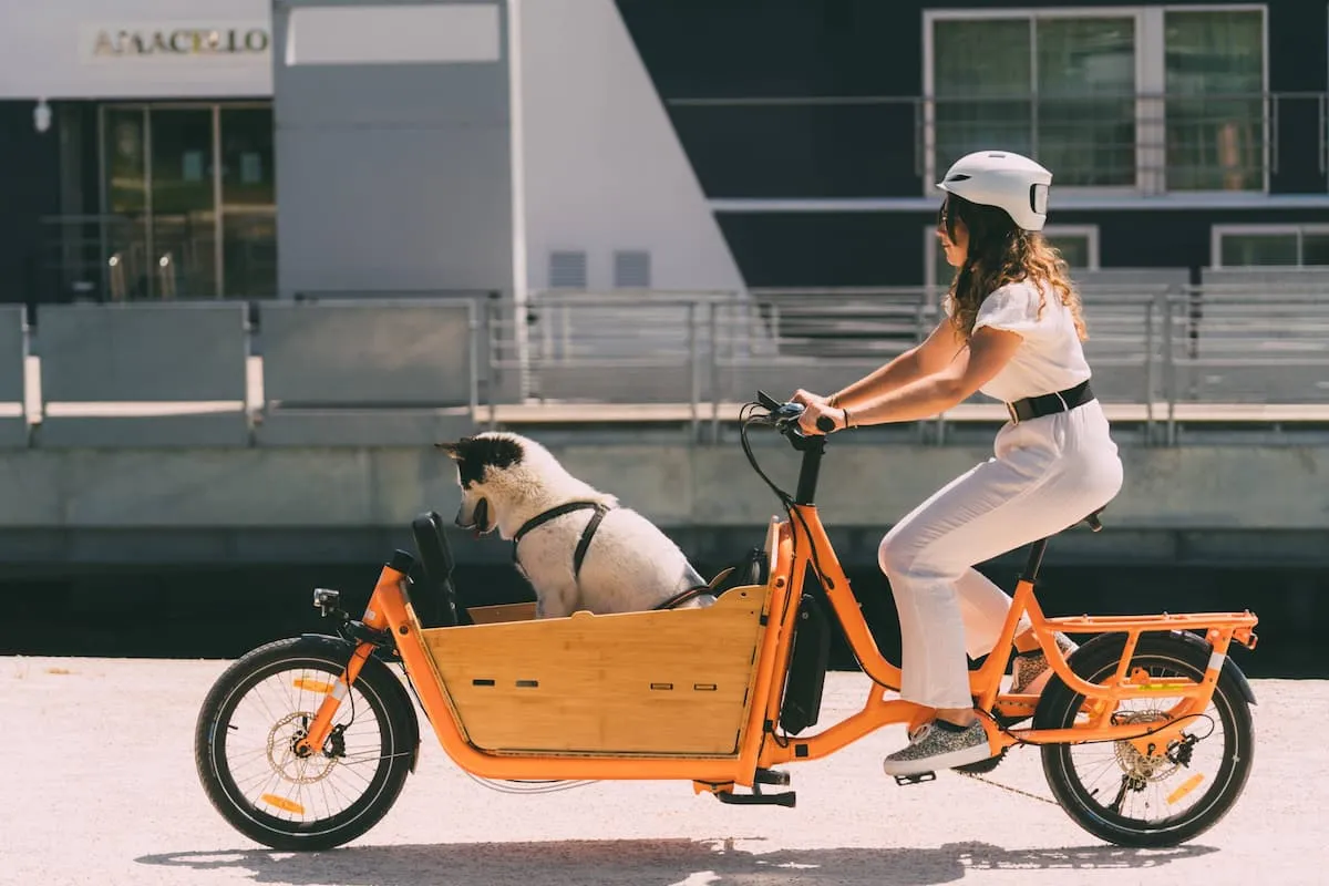 Une femme qui conduit un vélo cargo avec un chien installé dans la caisse du devant