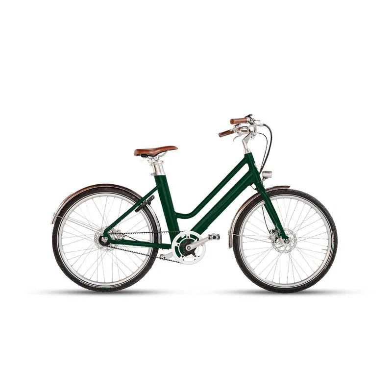 Photo du vélo électrique Bellecour de Voltaire de couleur verte